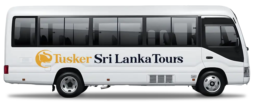 Coaster Bus Rental for Large Groups and Weddings in Tangalle
